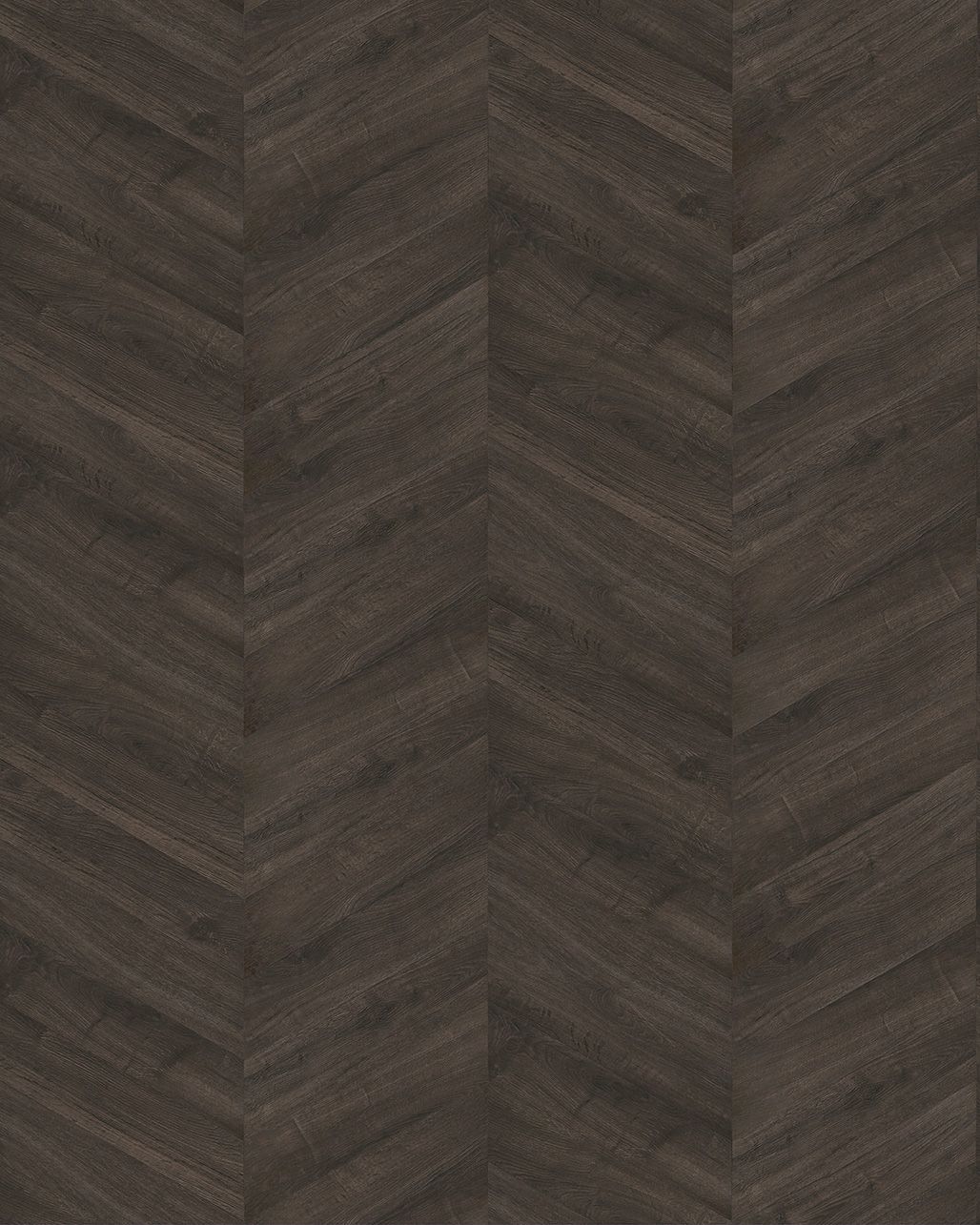 Chêne Purmerende Pointe Hongroise